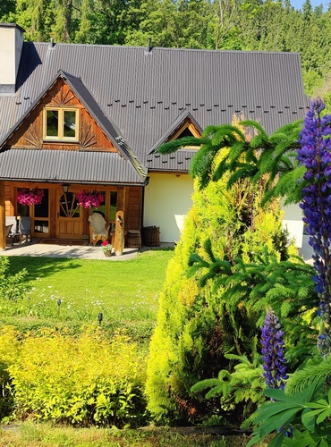 img20250618093753 370x500